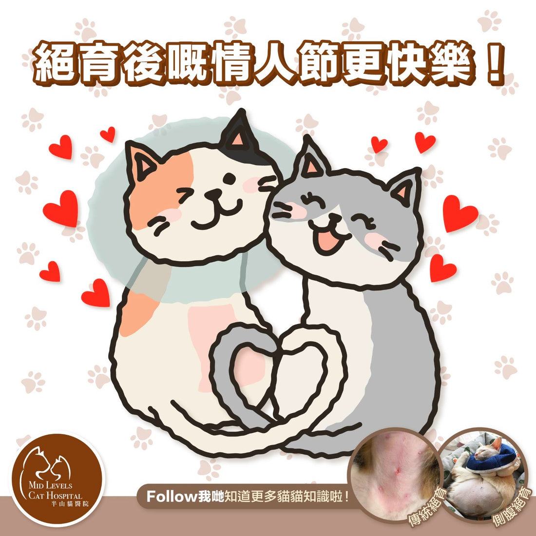 【Valentine's Day neutering promotion】